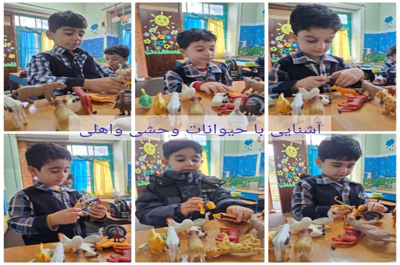 آشنایی با حیوانات اهلی ووحشی